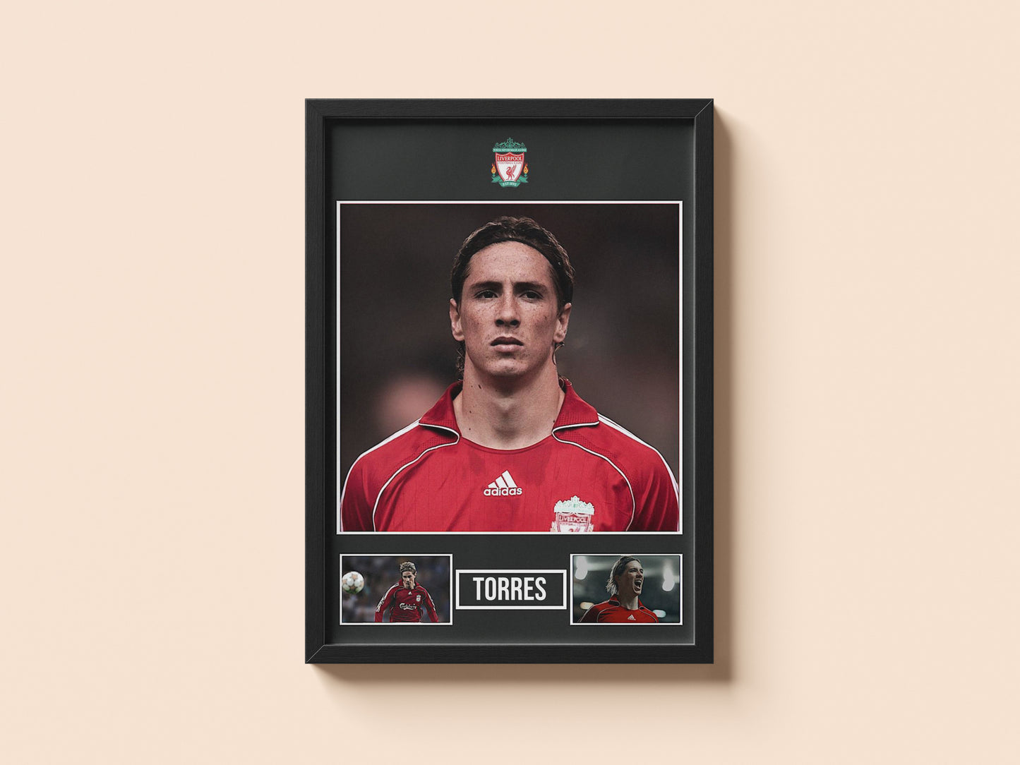 FERNAND0 TORRES POSTER